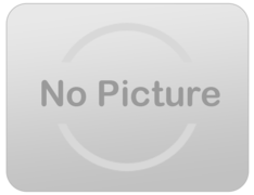 Skid Steer Forks Inventory